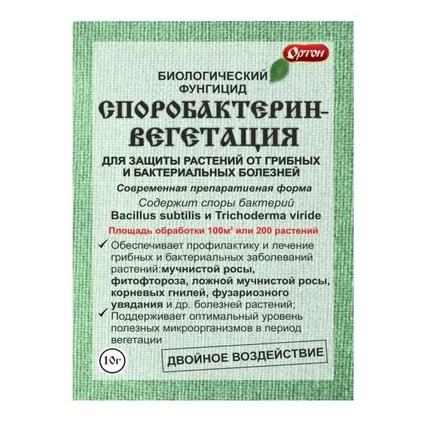 Основное изображение