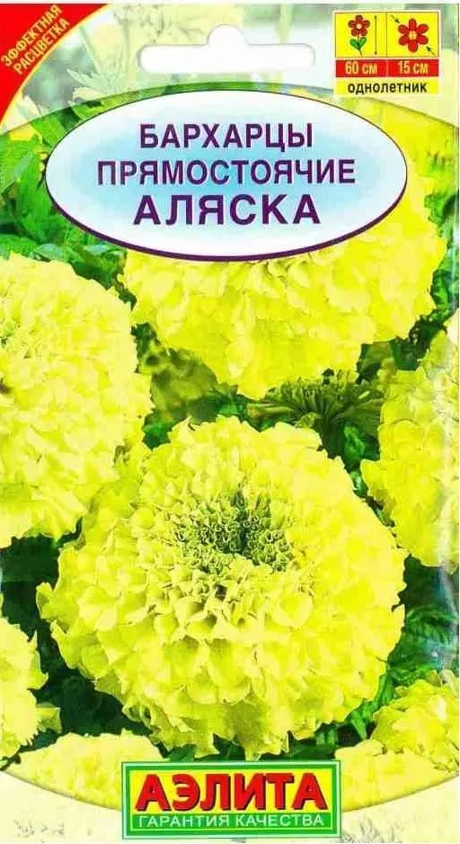 Семена Бархатцы (Тагетес) Аляска прямостоячие 0,3 г Аэлита 