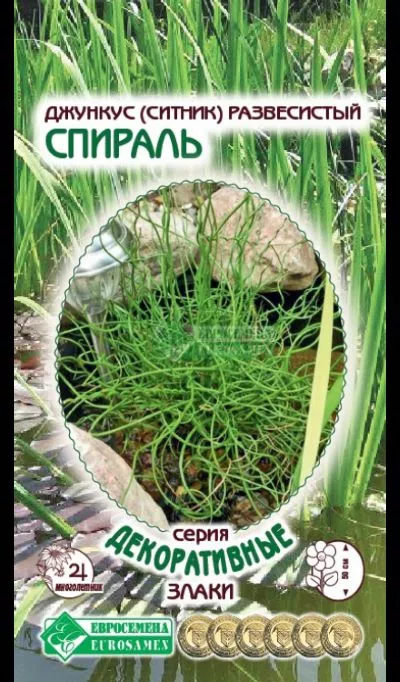 ОсновноеИзображение