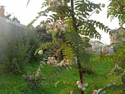 cir8f65vxxoo2ifsplacyagri4cg6ddt