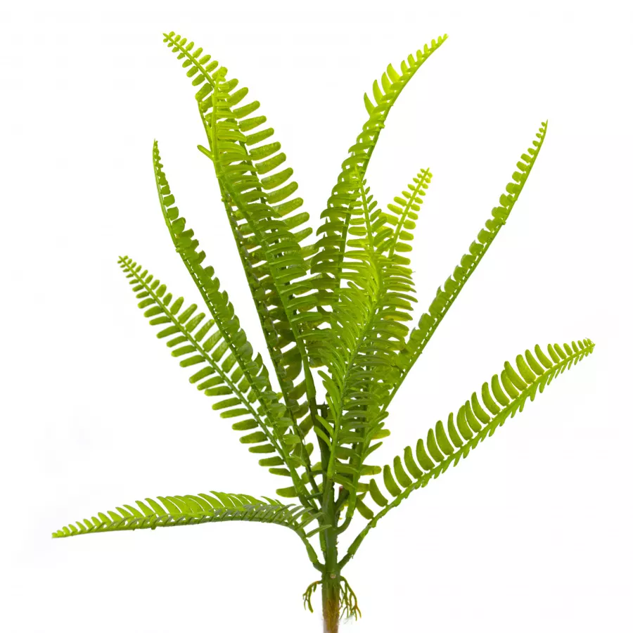 Папоротник на вставке большой зеленый 42см по цене 
