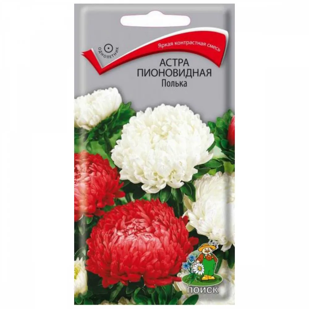 Семена астра пионовидная Полька 0,3г Поиск 