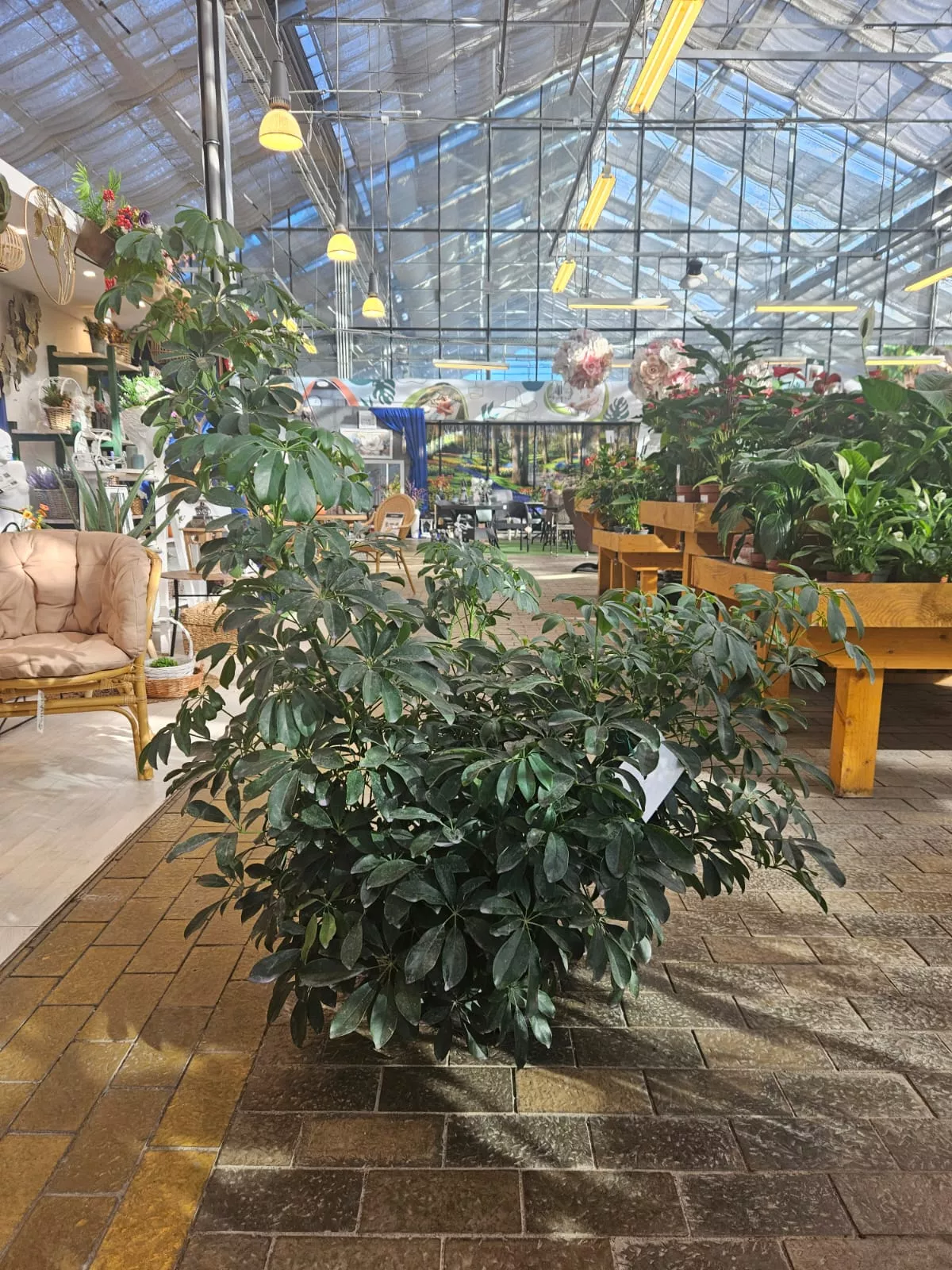 Шеффлера d35 h100-130Tim 