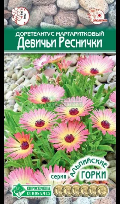 ОсновноеИзображение