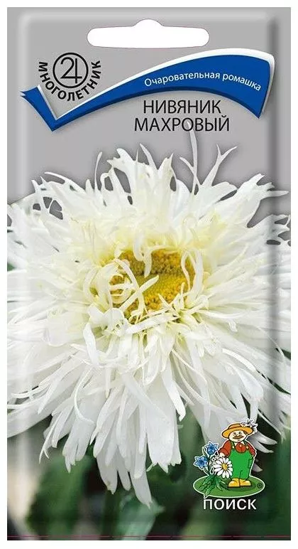 Семена нивяник махровый 0,1г Поиск 