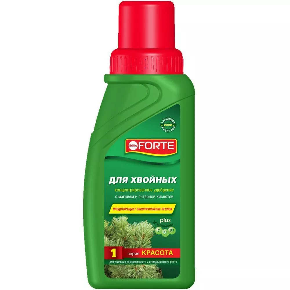 Основное изображение