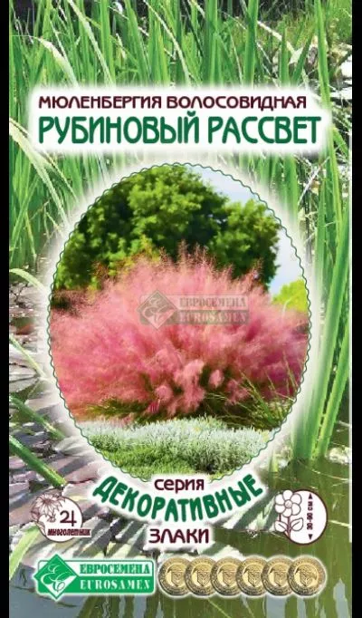 ОсновноеИзображение