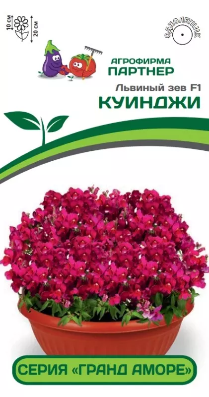 Семена Львиный Зев низкорослый крупноцветковый Гранд Аморе F1 Куинджи10 шт.Партнер 