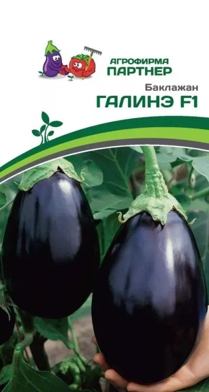 Семена Баклажан Галинэ F1 10 шт. Партнер 