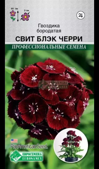 ОсновноеИзображение