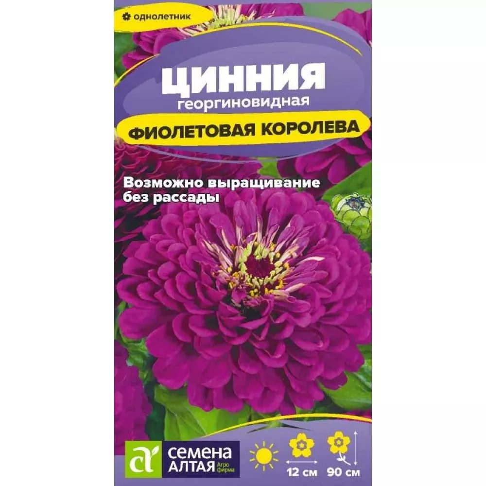 Семена  Цинния Фиолетовая Королева георгиноцв.   0,2 гр. Семена Алтая 
