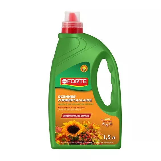 Основное изображение