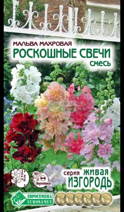 ОсновноеИзображение