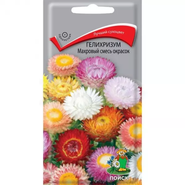 Семена гелихризум махровый смесь окрасок 0,25г Поиск 