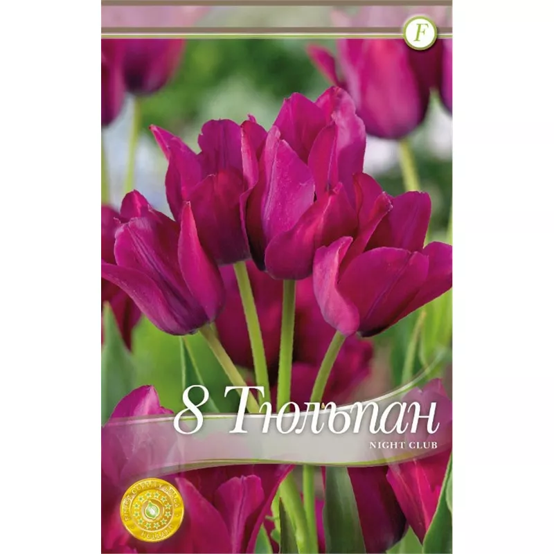 Луковица Тюльпан Найт Клаб 12/14, 10 шт/уп 