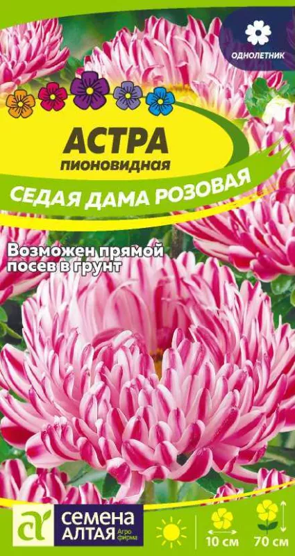 Семена Астра Седая Дама Розовая 0,1 гр.Семена     Алтая 