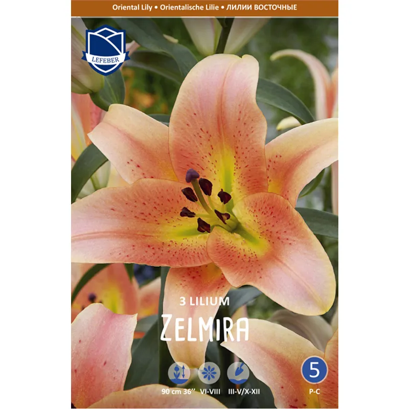 Луковица Лилия ОТ-гибрид Зельмира 16/18 3шт 