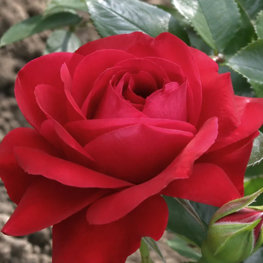 IMG_20260426_220709_433