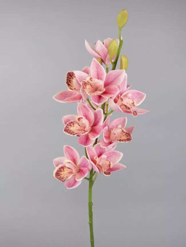 Цветок искусственный Орхидея Цимбидиум 75см, розовый по цене 