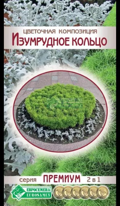 ОсновноеИзображение