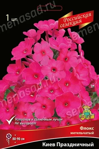 Кореневище Флокс метельчатый Российская селекция Киев Праздничный 1шт Поиск 