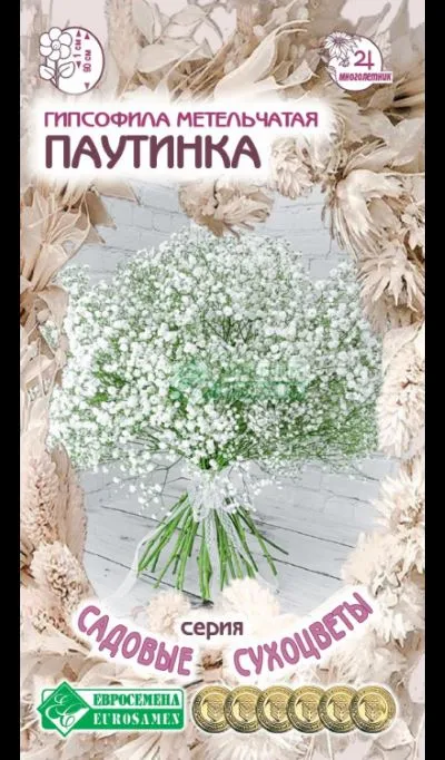 ОсновноеИзображение