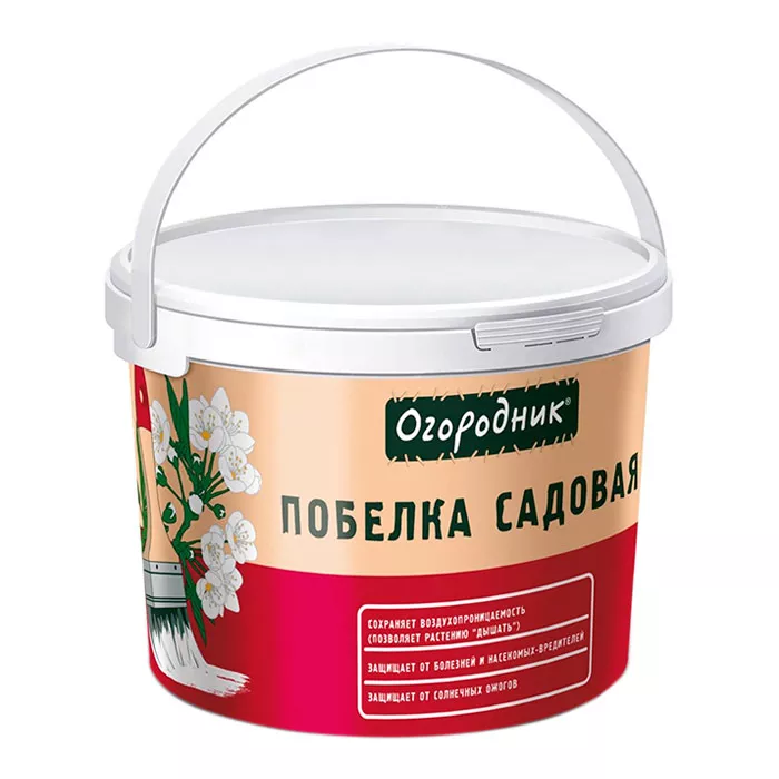 Основное изображение