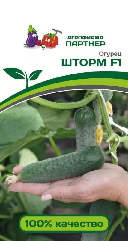 Семена Огурец партенокарпический Шторм F15 шт Партнер 