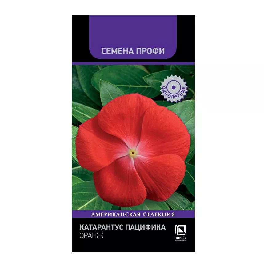 Семена Катарантус Пацифика Оранж 10 шт  Поиск 