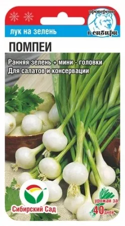 Семена Лук На зелень Помпеи 0,5г Сибирский Сад 