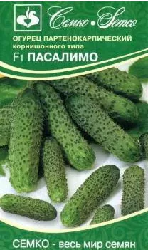 Семена Огурец партенокарпический Пасалимо F1 5 шт Семко 