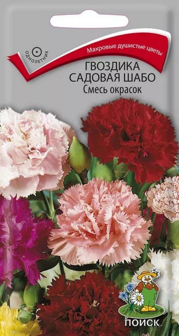 Семена гвоздика садовая Шабо смесь окрасок 0,3г Поиск 