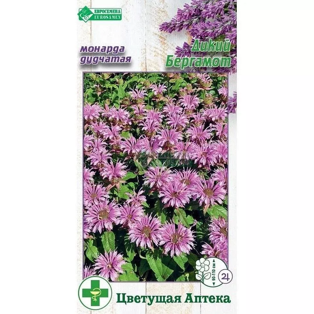 ОсновноеИзображение