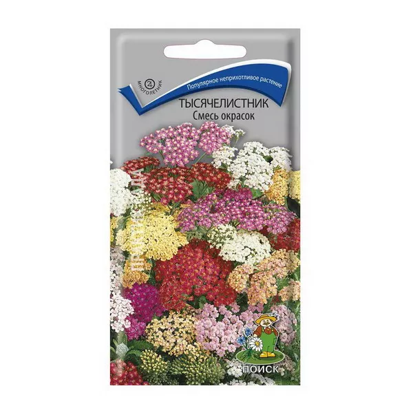 Основное изображение