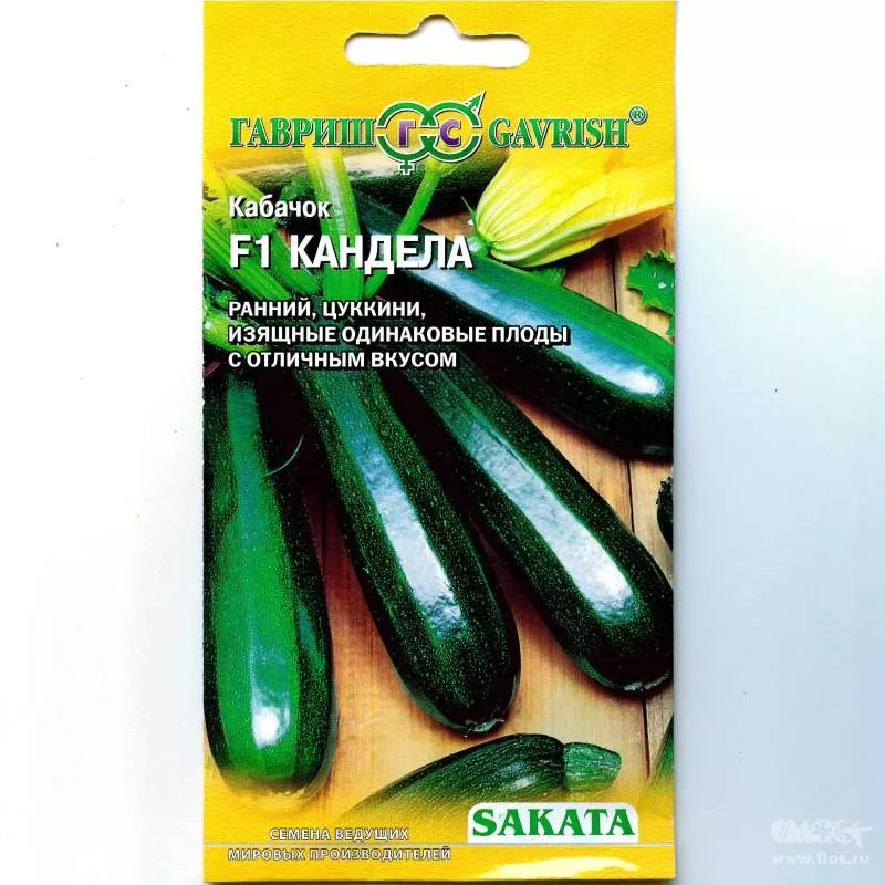 Семена Кабачок Кандела F1 5 шт Гавриш 