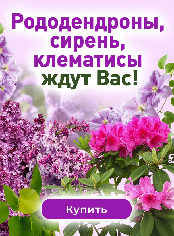 Декоративные уличные