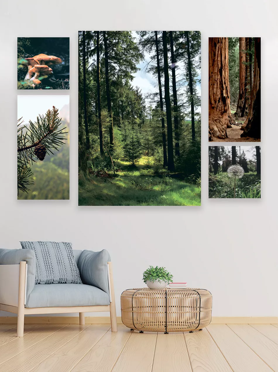 Набор из 5 картин Симфония Таинственный лес арт.МК-184 по цене 
