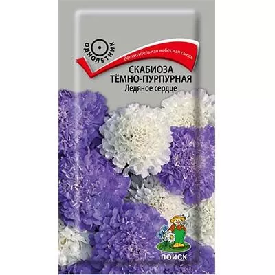 Семена скабиоза темно-пурпурная Ледяное сердце 10шт Поиск 