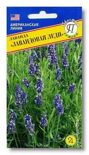 Семена лаванда Лавандовая леди 0,01г Престиж 