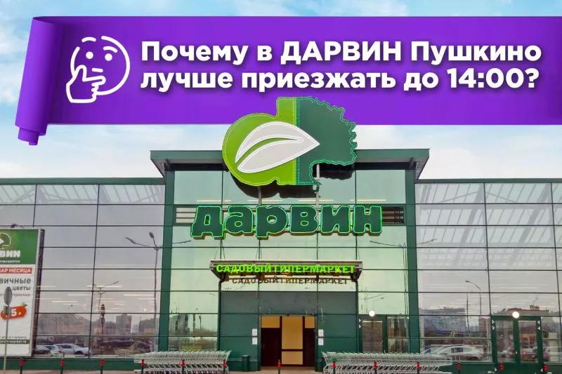 Почему в ДАРВИН (Пушкино) лучше приезжать до 14:00