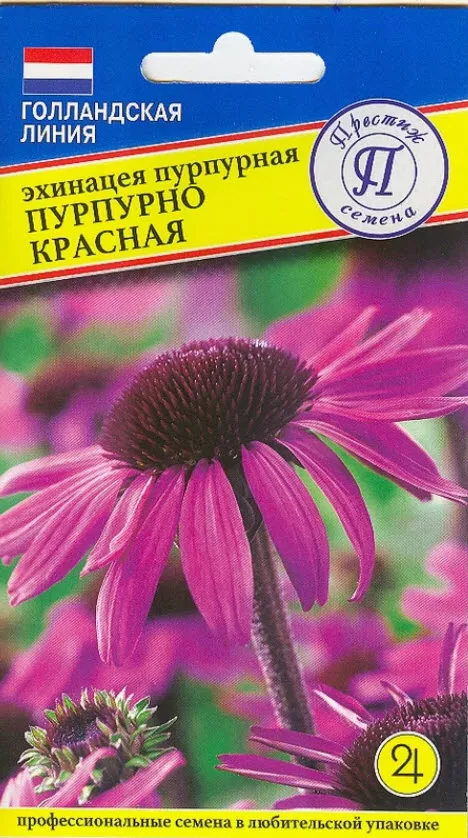 Семена Эхинацея пурпурная Пурпурно красная  0,1 гр Престиж 