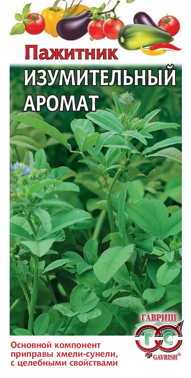 Семена Пажитник голубой  Изумительный аромат (Хмели Сунели), Гавриш 