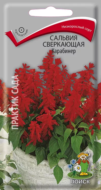 Семена сальвия Карабинер сверкающая 0,1г Поиск 
