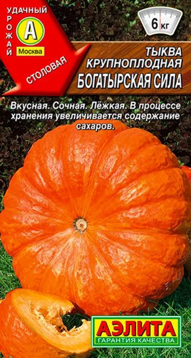 Семена Тыква крупноплодная Богатырская сила 1гр Аэлита 