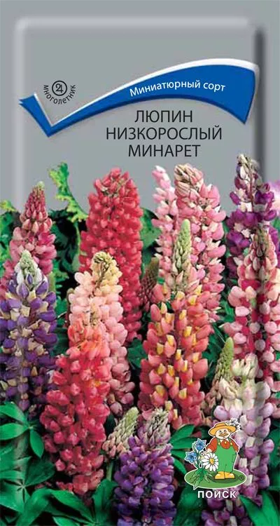 Семена Люпин низкорослый Минарет 1г Поиск 