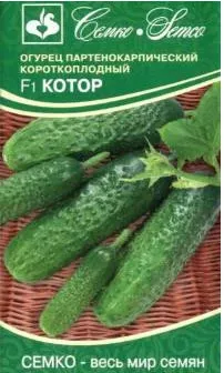 Семена Огурец партенокарпический Котор F1 5 шт Семко 