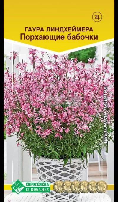 ОсновноеИзображение