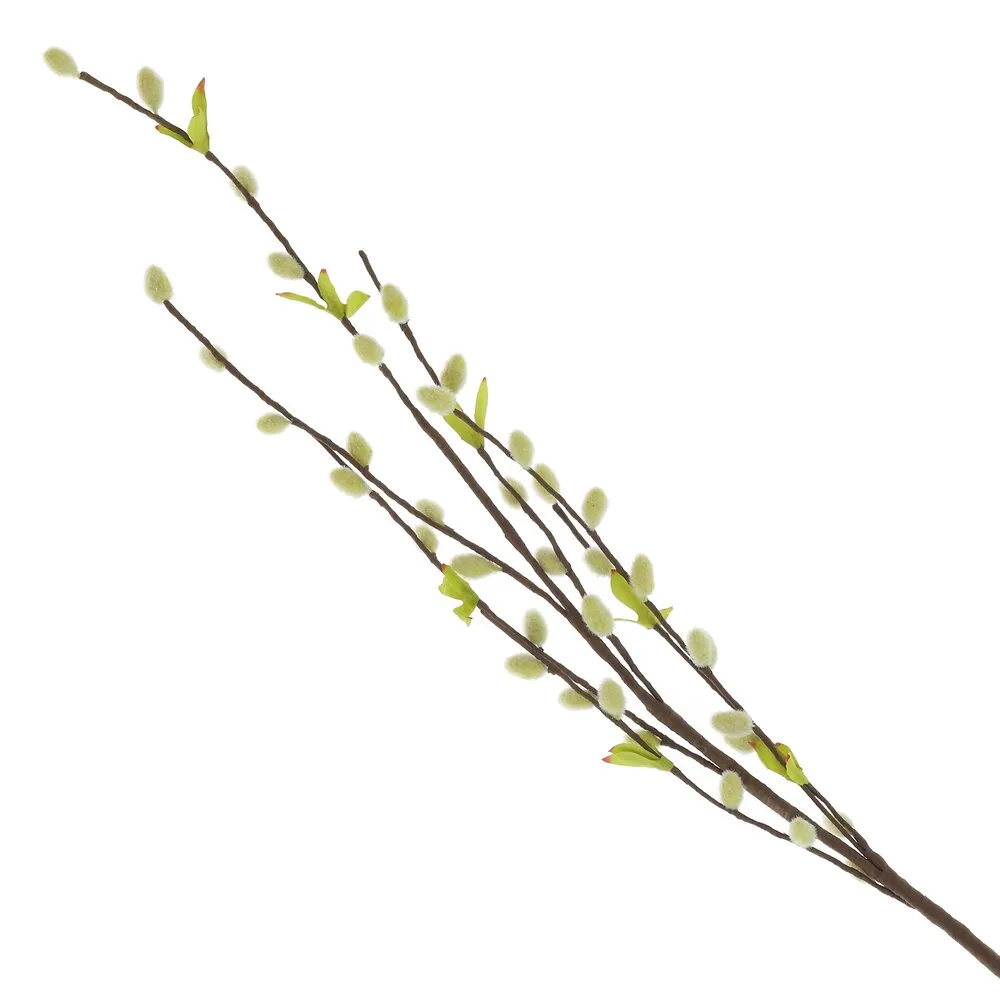 ОсновноеИзображение