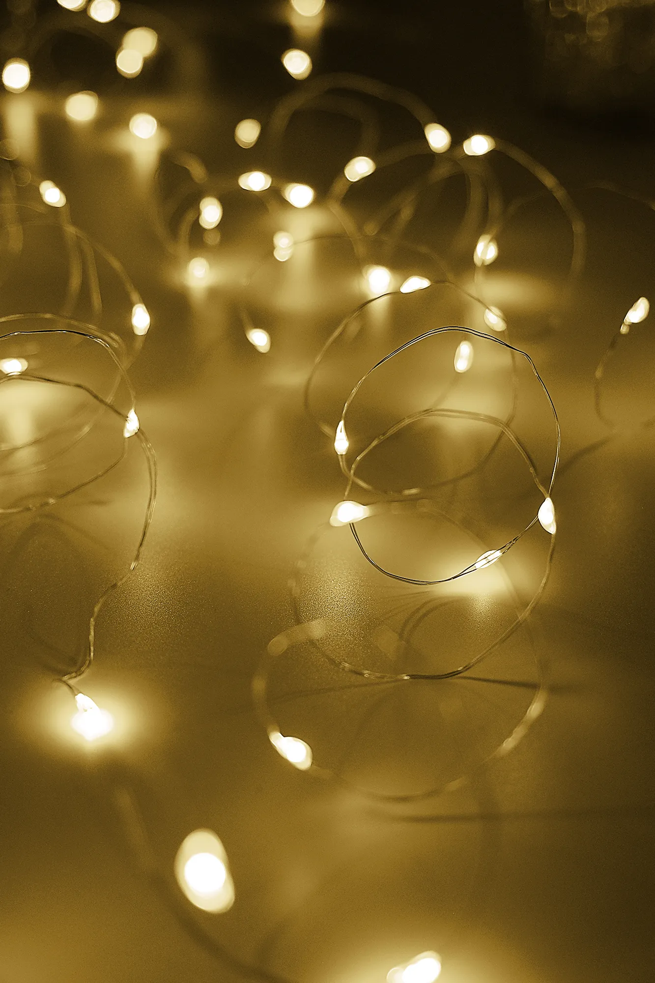 Электрогирлянд Нить ФАZА Пробки 2шт 2м 20LED ламп, теплый белый с питанием от батареек по цене 