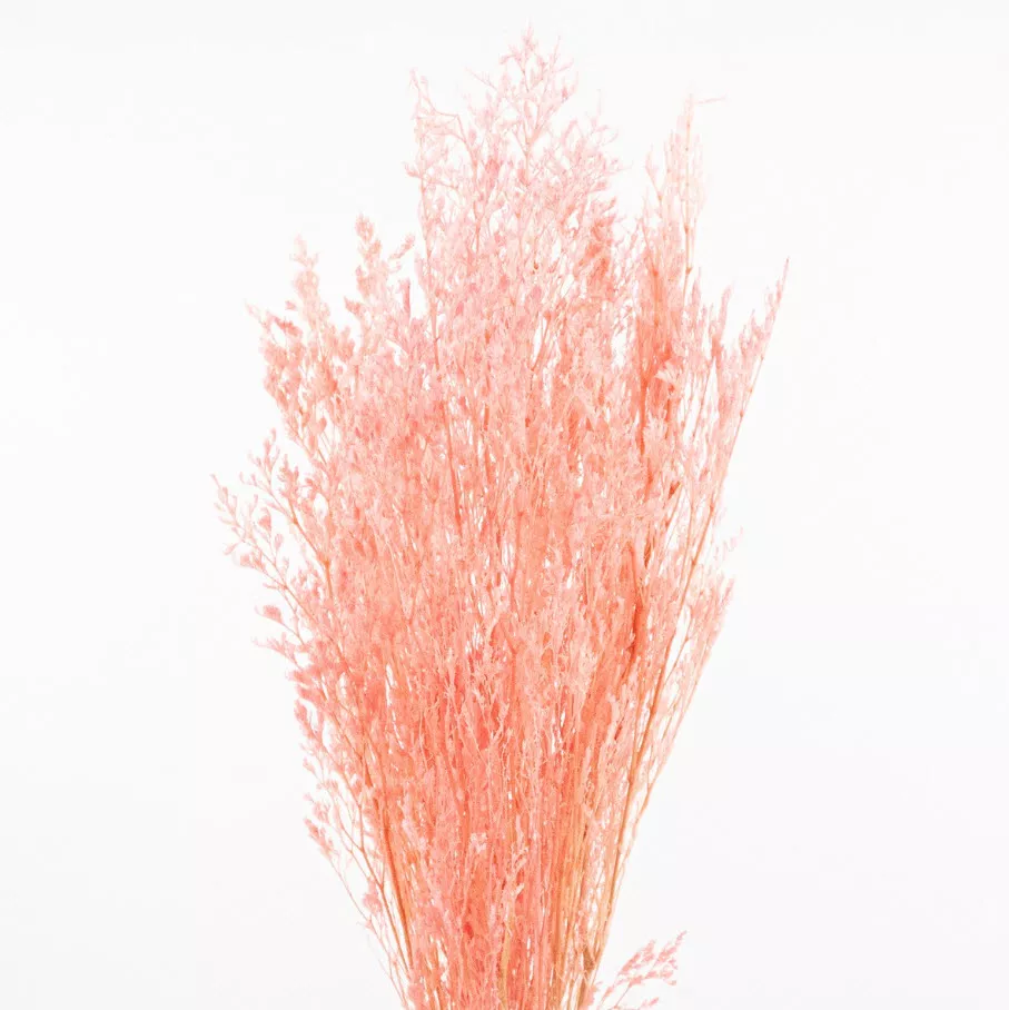 Сухоцветы Лимониум набор 100гр 70см, розовый по цене 